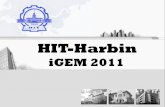 HIT-Harbin - 2011.igem.org2011.igem.org/files/presentation/HIT-Harbin.pdf · HIT-Harbin iGEM 2011 . Yogurts under normal temperature ... BlpC COLⅢα1 COLⅢα1