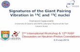 Signatures of the Giant Pairing Vibration in 14C and … · Signatures of the Giant Pairing Vibration in 14C and 15C nuclei ... Large amount of theoretical ... S. Kahana and A. J.