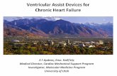 Ventricular Assist Devices for Chronic Heart Failurestatic.livemedia.gr/hcs2/documents/33HCS_Esperides_031112_013... · Ventricular Assist Devices for Chronic Heart Failure ... Patient