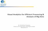 Visual Analytics for Efficient Processing & Analysis .Visual Analytics for Efficient Processing &