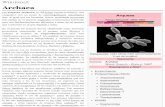 Archaea - biologia.ucr.ac.crbiologia.ucr.ac.cr/profesores/Valdez Marta/Documentos/Archaea .pdf · de las bacterias y los eucariotas, no se conoce ninguna especie de arquea que forme
