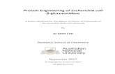Protein Engineering of Escherichia coli - Open … · It was eventually determined that the BugBusterTM reagent used to lyse cells prior ... protocol developed by McLeod Group for