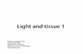 Light and Tissue 1 - its. bi177/private/L6_handout.pdf · PDF file≥ λ Mie Regime • Cells, water droplets (fog) ... • Scattering mean free path and transport mean free path