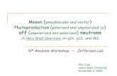 Meson Photoproduction γ off (unpolarized and polarized ... · Meson (pseudoscalar and vector) Photoproduction (polarized and unpolarized γs) off (unpolarized and polarized) neutrons(A