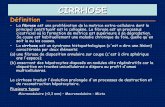 Cirrhose - ifsiduchudenice20122015.files.wordpress.com · HEPATITE AUTO-IMMUNE MALADIES METABOLIQUES : HEMOCHROMATOSE WILSON DEFICIT EN α-1 ANTI-TRYPSINE MUCOVISCIDOSE ... Conséquences