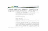 Analysis of persistent changes to γ-aminobutyric acid ... · Yin et a 2 enetics and oecar esearc 15 3: gr15038782 cDNA was 1477-bp long and contained a 1449-bp open reading frame