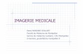 INITIATION A L'IMAGERIE MEDICALE - …scinti.edu.umontpellier.fr/.../08/INITIATION-A-LIMAGERIE-MEDICALE.pdf · IMAGERIE MEDICALE Denis MARIANO GOULART Faculté de Médecine de Montpellier