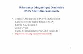 Résonance Magnétique Nucléaire RMN …crm2.univ-lorraine.fr/pages_perso/Mutzenhardt/CPM-701-RMN.pdf · 1 Résonance Magnétique Nucléaire RMN Multidimensionnelle • Christie