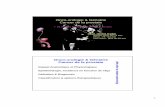 Onco-urologie & Gériatrie Cancer de la prostate · 2 Anatomie & Physiologie: Carrefour uro-génital Σ &Φ Développement & Croissance androgéno-dépendante Traitement Variabilité