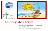 Un coup de chaud… - rdv-urgence.chru-strasbourg.frrdv-urgence.chru-strasbourg.fr/sites/default/files/documents/ru/31/... · Majoration Rhabdomyolyse 15.000 U/L ! Pic Troponine 2,22