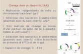Clonage dans un plasmide (pUC) Réplication indépendante de …pdv.univ-lille1.fr/labo/figdea.pdf · Clonage dans un plasmide (pUC) • Site multiple de clonage au niveau d'une portion