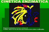 CINÉTICA ENZIMÁTICA - debiq.eel.usp.brjoaobatista/aula2cineticaenzimatica.pdf · ΔG'º: energia livre padrão bioquímica; ΔG‡: energia de ativação S-P: do(s) substrato(s);
