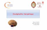 Encéphalite Herpétique - Collège des Enseignants de ... · 10 à 15 mg/kg toutes les 8 h ... poursuivre le traitement en réduisant les doses ... craniectomie ? M A. Adamo and