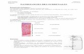 Module 9 – Mrroneopharmatours.free.fr/.../uploads/13.02.12-Module-9-Lecomte.pdf · - peut se faire en pharmacie Urines: - CLU (cortisol libre urinaire) o N = 10-50 μg/24h (27-220