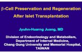 β-Cell Preservation and Regeneration After Islet ...icdm2013.diabetes.or.kr/slide/AB3-1 Juang.pdf · 1999-2000 100 % (ITA) 7 (Edmonton) 2002 85 % (ITA) 33 (Edmonton) Human Islet