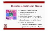 Histology, Epithelial Tissue - nikolai.lazarov.pro · Histology, Epithelial Tissue 1.Tissues. Classification 2.General properties of basic tissues 3.Epithelial tissue–principal