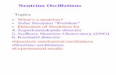 Neutrino Oscillations - Department of Physics and ellswort/psci701_nu.pdf · PDF fileThe neutrino was first postulated by Pauli in 1930 to explain the continuous energy spectrum of