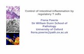 Control of intestinal inflammation by regulatory T · PDF fileControl of intestinal inflammation by regulatory T cells Fiona Powrie Sir William Dunn School of Pathology ... Uhlig et
