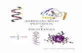 AMINOÁCIDOS PÉPTIDOS Y PROTEINAS - [DePa] Departamento de …depa.fquim.unam.mx/amyd/archivero/Unidad_2_Aminoacidos,_peptido… · Mecanismo general de una reacción de transaminación.