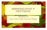 AMINOACIDOS Y PEPTIDOS .PEPTIDOS DE IMPORTANCIA BIOLOGICA (GLUTATION, VASOPRESINA Y OXITOCINA. El