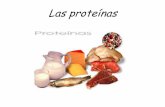 Las proteínas - IES Sierra Sur€¦ · Los monómeros de las proteínas ... facilitan el transporte de sustancias. ... • ·La mioglobina transporta oxígeno en los músculos.