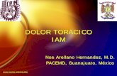 DOLOR TORACICO IAM - reeme.arizona.edu toracico e IAM.pdf ·  DOLOR TORACICO IAM Noe Arellano Hernandez, M.D. PACEMD, Guanajuato, México Noe Arellano Hernandez, M.D.