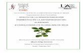 EFECTO DE LA DESGLICOSILACIÓN ENZIMÁTICA EN LA ...digital.csic.es/bitstream/10261/21710/1/Amigo-Benavent DEA sep07.pdf · Memoria para la obtención del Diploma de Estudios Avanzados