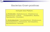 Bacterias Gram positivas - · PDF fileEndometritis Septicemia, Infs supur, Neumonía S. suis D α Cerdos Sept, Mening, Neum, Artrit S. canis G β Carnivoros Sept neonatal, ... Papera