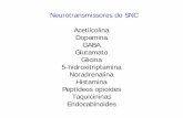 Neurotransmissores do SNC Acetilcolina Dopamina …medicina.med.up.pt/farmacologia/pdf/GABA_glicina_purinas_glutamato... · •Várias formas de subunidades: α, β, γ, δ, ε, π,