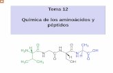 No Slide Titledrago.intecca.uned.es/download/d3d3LmludGVjY2EudW5lZC5lcw==_80250... · Zwitteriones • Los aminoácidos existen como iones dipolares. • -COOH pierde H +, -NH. 2.
