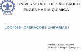 UNIVERSIDADE DE SÃO PAULO ENGENHARIA QUÍMICAbizuando.com/material-apoio/ope-uni1/Bombas-Parte-II.pdf · 16 Exemplo 2 Azeite de oliva a 20 ºC (ρ=919 kg/m3, µ=81mPa.s) é bombeado