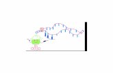 Transcrição e Processamento - iq.usp.br · Transcrição e Processamento transcrição do DNA maturação do RNA tradução AAAA em proteína AAAA AAAA ... •transportador (carrega