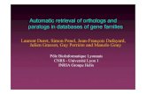 Automatic retrieval of orthologs and paralogs in databases ... · Automatic retrieval of orthologs and paralogs in databases of gene families Laurent Duret, Simon Penel, ... tetrapodes,