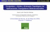Conjuntos -l­mite y Entrop­a Topol³gica de Aplicaciones ... Aplicaciones Triangulares Bidimensionales