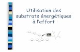 Utilisation des substrats énergétiques àl’effortaees.free.fr/docs liens/cours/l2 semestre 1/utilisation des... · Les concentrations basales d ’ATP - comprises entre 4,5 et