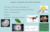 Oxygen, Hydrogen and Carbon Isotopesapaytan/290A_Winter2014/pdfs/290A Lecture 1 O... · Oxygen, Hydrogen and Carbon Isotopes. Fresh water - ... C3 plants. Today (360 ppm) LGM (180