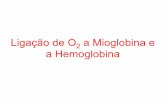 Ligação de O2 a Mioglobina e a Hemoglobina · 1897 Eduard Buchner …… Extrato de levedura livre de células capaz de realizar a fermentação 1894 Emil Fischer ………………Hipótese