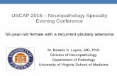 USCAP 2016 Neuropathology Specialty Evening Conference · USCAP 2016 – Neuropathology Specialty Evening Conference M. Beatriz S. Lopes, MD, PhD Division of Neuropathology Department