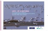 LIFE - IP 4 NATURA - edozoume.gredozoume.gr/wp-content/uploads/2018/11/LIFE-IP-brochure_Optimized.pdf · Σκοπός του έργου life-ip 4 natura Το έργο life-ip 4 natura