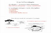 Il completo approccio ecologico - 04... · PDF fileI modelli in ecologia Modelli semplici (approccio riduzionista) Isolano fenomeni particolari e cercano di descriverli selezionando