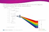 Os seres humanos percebem as cores em alguns comprimentos ... · PDF fileinstrumento calcula os valores tristímulus dos dados da refletância espectral. No exemplo da maçã, os valores