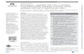 ORIGINAL ARTICLE Neurotensin regulated miR-133 is involved ...gut.bmj.com/content/gutjnl/64/7/1095.full.pdf · expression in NCM-460-NTR1 co lonocytes. ... NCM460-NTR1 cells were