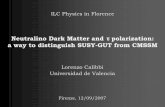 Neutralino Dark Matter and polarization: a way to ... · Firenze, 12/09/2007. Neutralino DM and τ polarization Lorenzo Calibbi First part: SUSY-GUTs, ... RN relic density requirements