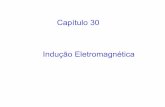 Capítulo 30 Indução Eletromagnética - inf.unioeste.brreginaldo/informatica/slides/inducao.pdf · Indução Eletromagnética. O que já sabemos... Corrente elétrica produz campo