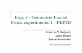 Exp. 3 -Geometria Fractal Física experimental I -FEP113 fileObjetivos Verificar a aplicabilidade da geometria fractal ao caso de bolas de papel amassados Obter o valor da dimensão