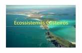 Ecossistemas Costeirosfiles.ecossistemas1.webnode.com.br/200000002-df3cfdf867... · sistema: sistema onde se vive) designa o conjunto formado por todas as comunidades que vivem e