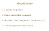 Magnetismo - fis.unipr.it Campo magnetico e... · Magnetismo Il campo magnetico Campo magnetico e correnti Induzione elettromagnetica (auto e mutua) Campi magnetici nella materia
