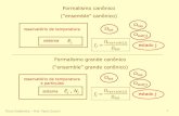 Formalismo canônico (“ensemble” canônico)sistemas.eel.usp.br/docentes/arquivos/1643715/LOM3217/FE_Grande... · Física Estatística - Prof. Paulo Suzuki . 2 reservatório de