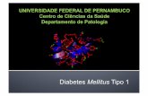 Diabetes Mellitus Tipo 1 - lucas Brandao · em curso há um determinado tempo; ... pacientes que apresentem DM tipo 1 há mais de 5 anos. ... Microalbuminúria