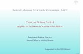 Theory of Optimal Control Applied to Problems of Ambiental ...im.ufrj.br/~wpde/wpde2009/conteudo/Presentation/Santina_VIIIWPDE... 